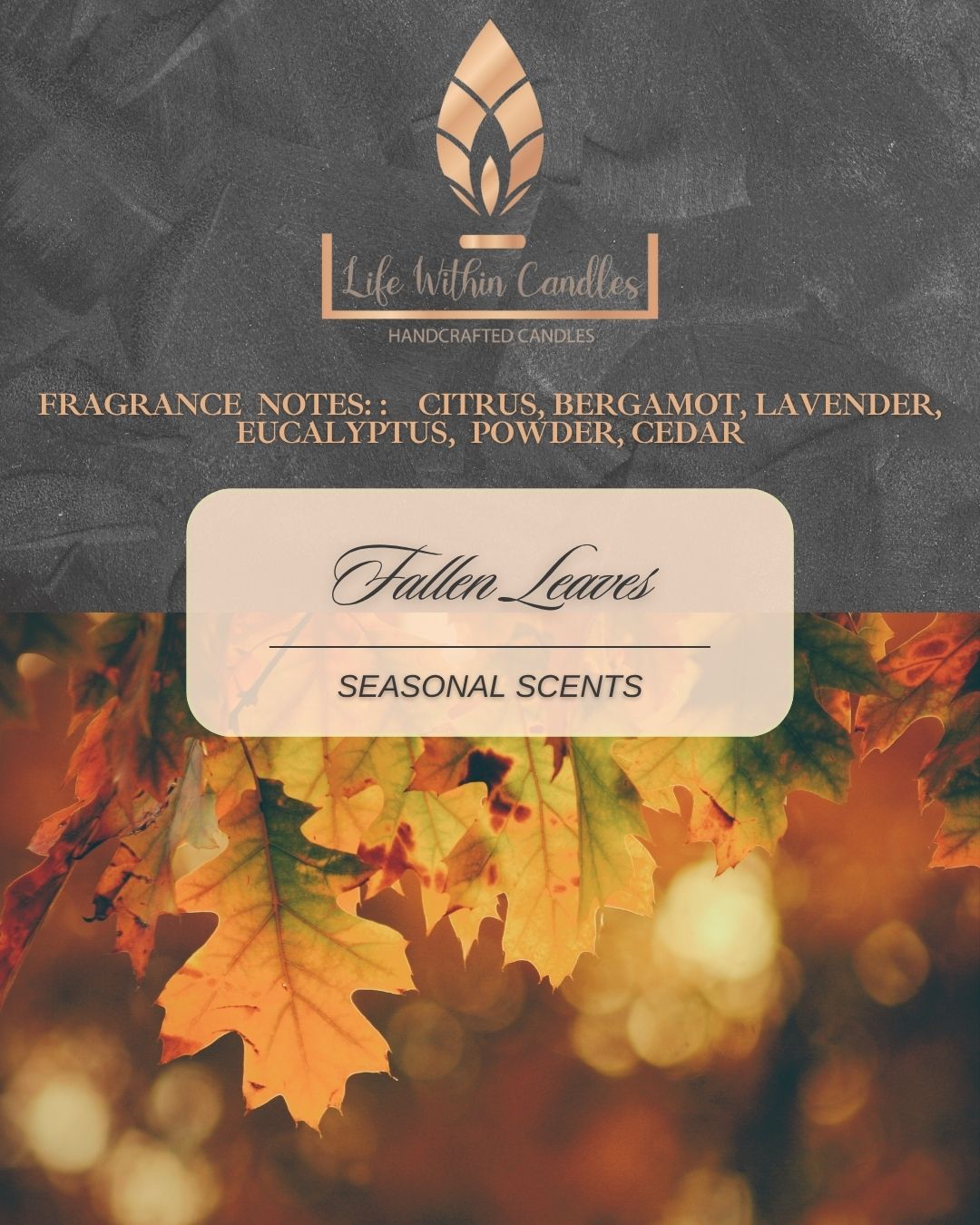 Candles:  Seasonal Scents