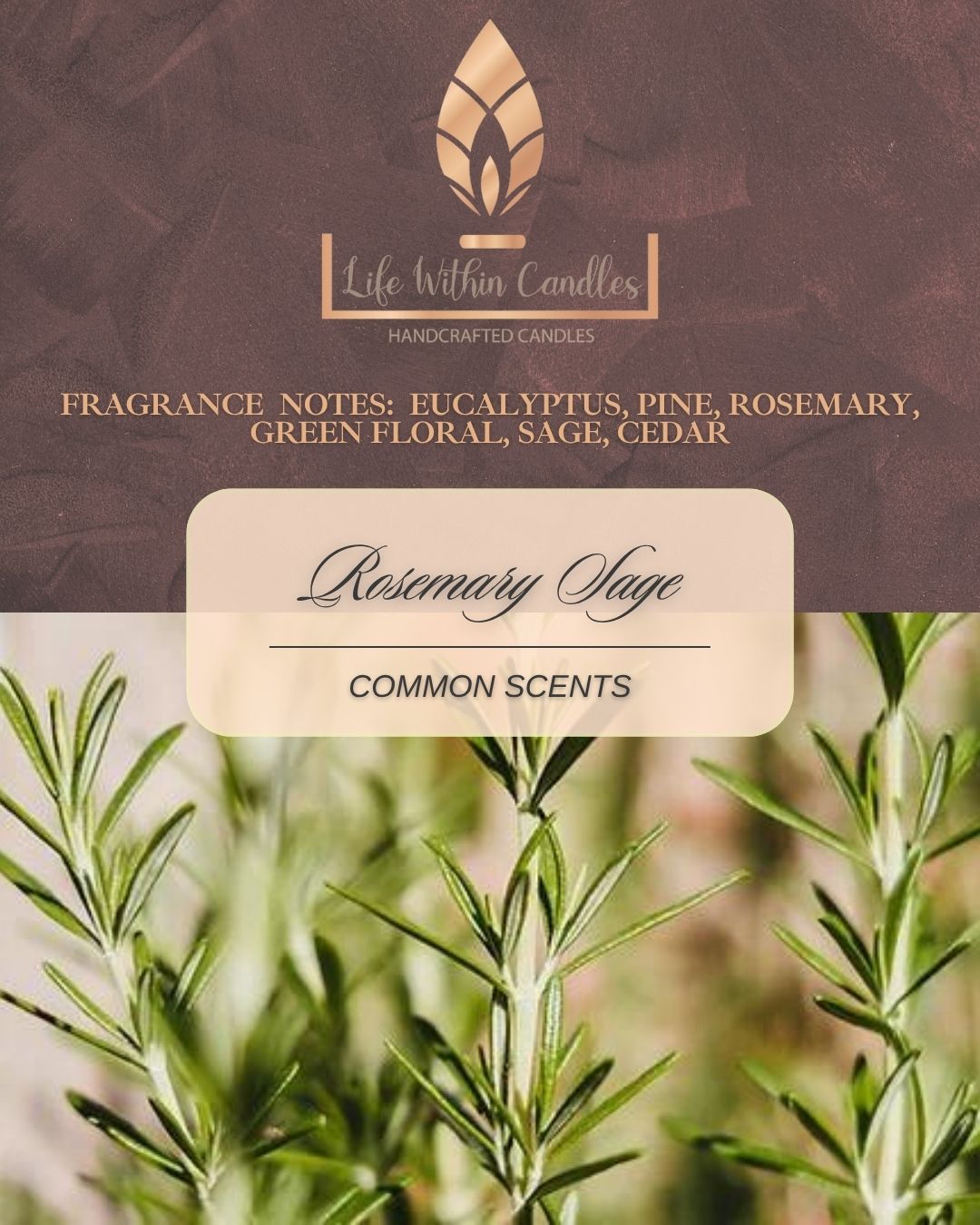 Candles:  Common Scents
