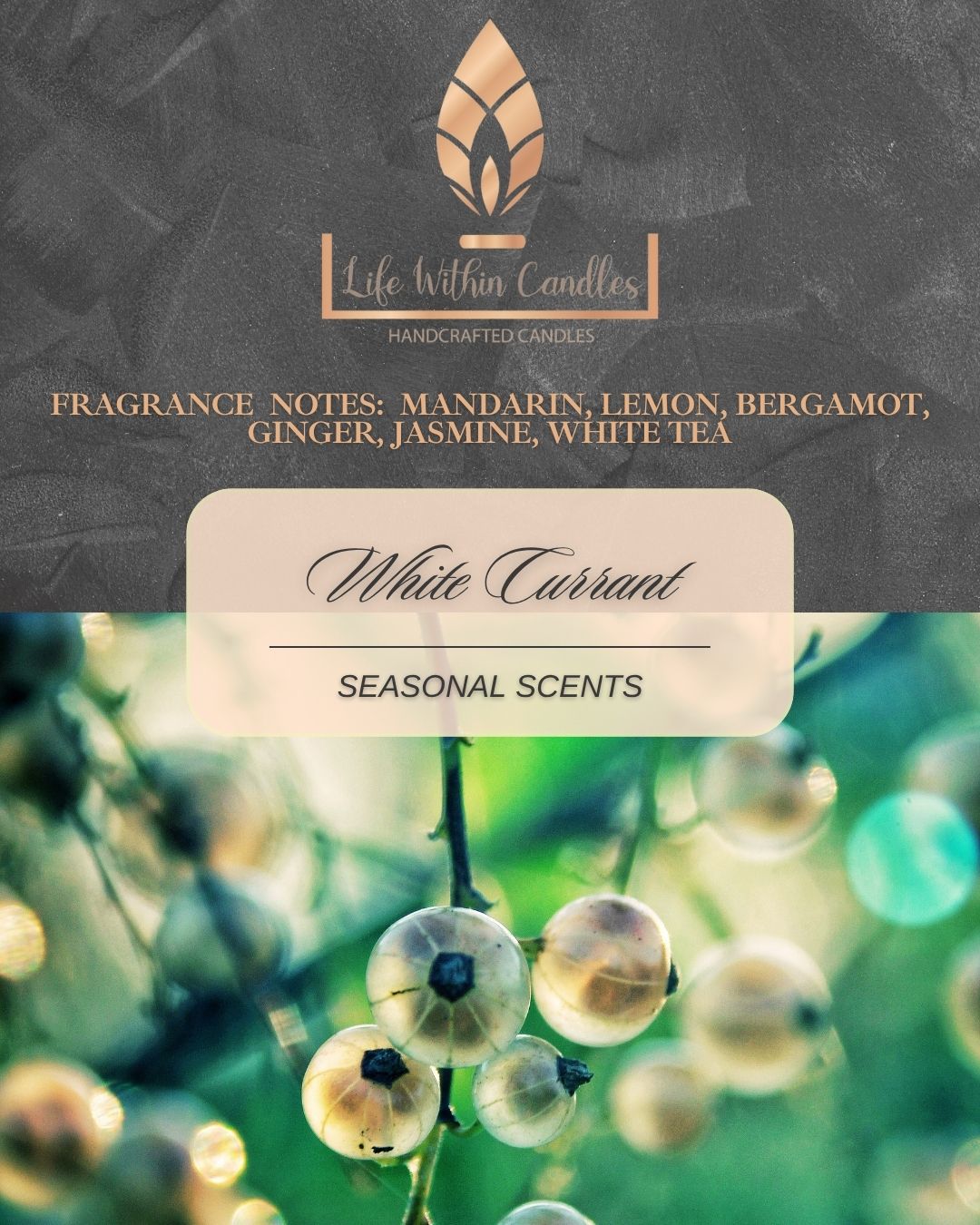 Candles:  Seasonal Scents